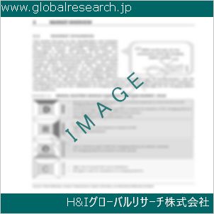 グローバルリサーチ調査資料のイメージ